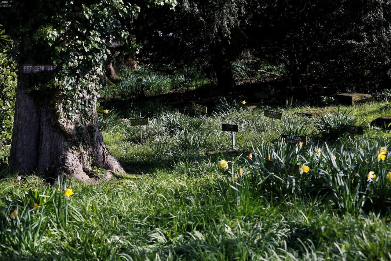 Whitworth Hall Hotel & Deer Park - Durham Spennymoor エクステリア 写真
